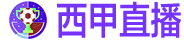 西甲直播 /